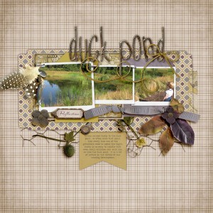 Duck Pond