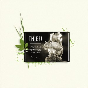 Stop Thief!