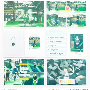 Paislee-PocketGuide