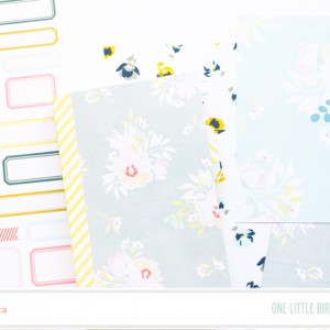 Bible cover update