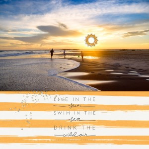 live in the sun