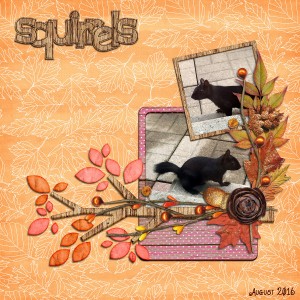 Squirrels