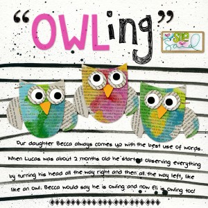 2016-9-13-owling-Recovered_600web