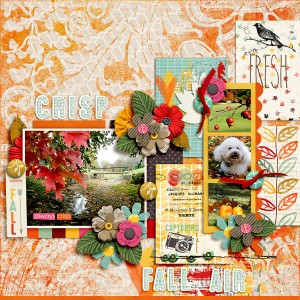 Crisp Fall Air