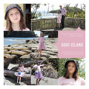 Goat Island