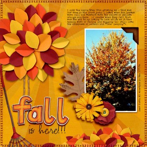 Fall leaves
