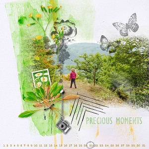 Precious Moments