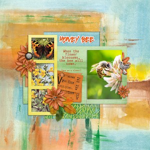 Honey Bee