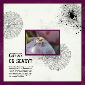 Spider-2