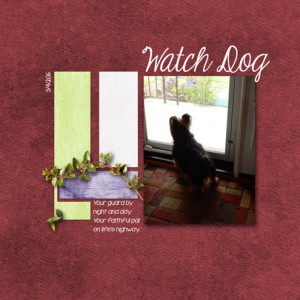 Watch-Dog