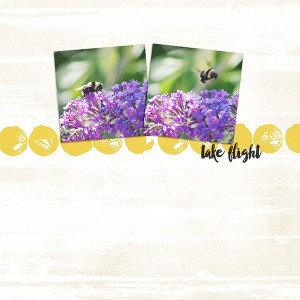 Take Flight