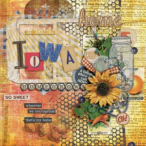 Home-Iowa Defined 2016