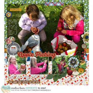 Apple picking