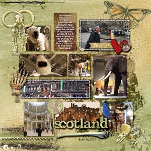 natural History Museum of Scotland