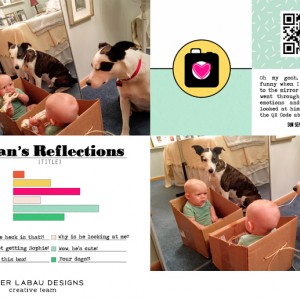 Evan's Reflections