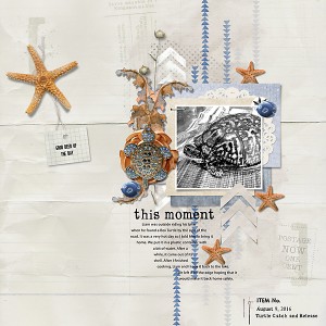 This Moment: Turtle Catch and Release