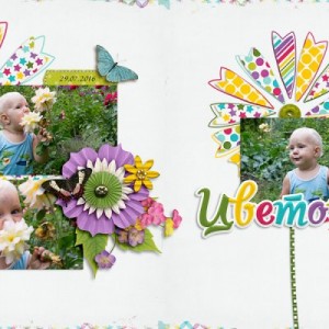 My Flower - DP
