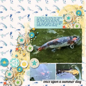 Koi Pond