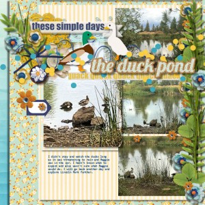 Duck Pond