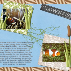 Clownfish