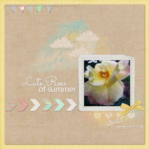 PS - TLP LG 9 16