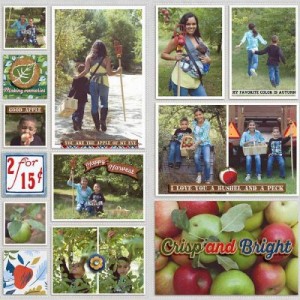 2016 Week 38-2 Apple Picking