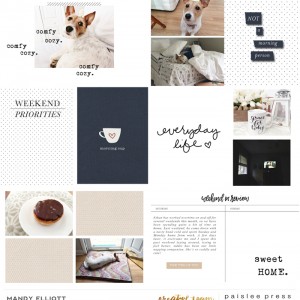 Pocket Guide No. 5 | Paislee Press CT