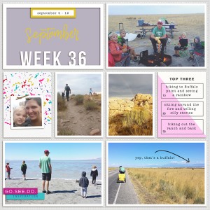 2016 week 36 - left side
