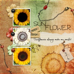 Sunflower