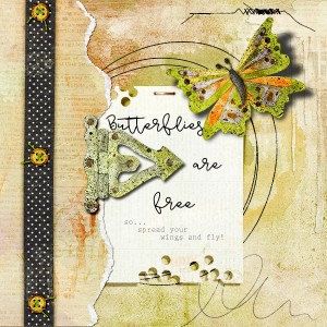 Butterflies