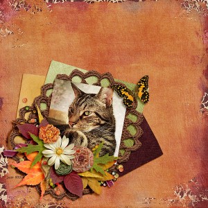 Autumn Sonata