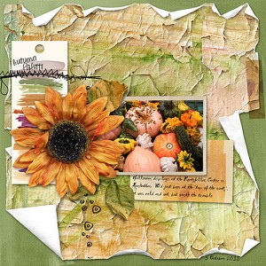 Autumn Palette