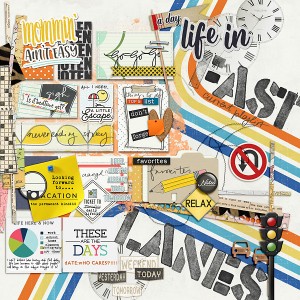 Life-in-fast-lanes
