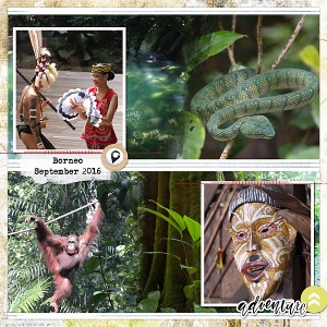 Borneo