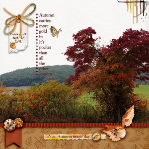 Autumn Foliage