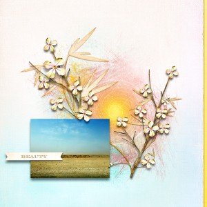 DesertBeauty