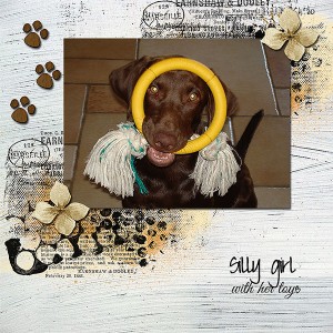 Silly-girWeb
