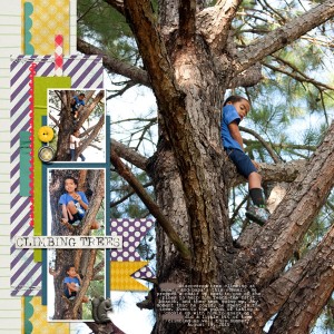 Tree Climbing