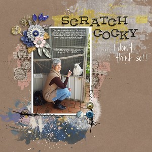 Don't Scratch Cocky!