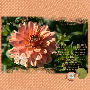 Dsd_crejourn