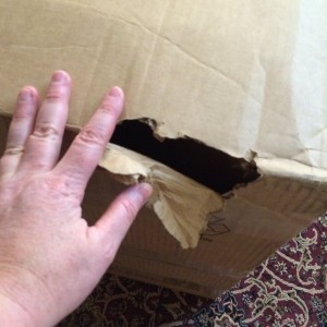 damage