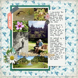 Skyline Ridge Walk