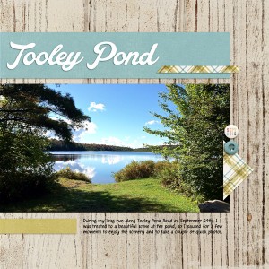 Tooley Pond