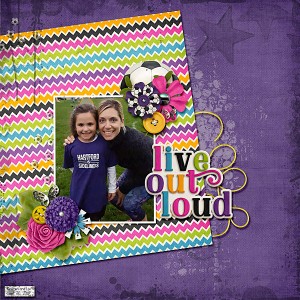 DSD Scraplift Chall.web