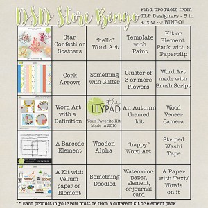 DSD 2016 - Bingo!