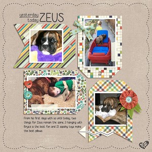 ZEUS | YESTERDAY TODAY