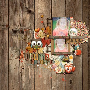 Wonder Fall