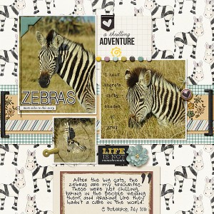 Zebras