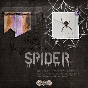 Along Came a Spider