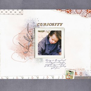 Curiosity